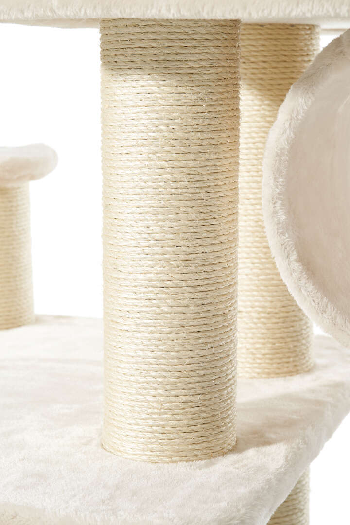 Nobby Kratzbaum Elin